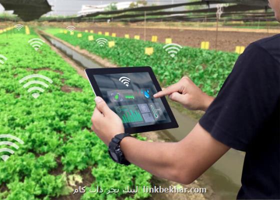 اجرای ۱۰ پروژه ملی برای نفوذ فناوری اطلاعات در تولید محصولات زیستی