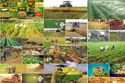 ایران در آستانه تحول در امنیت غذایی با تکنولوژی های جدید