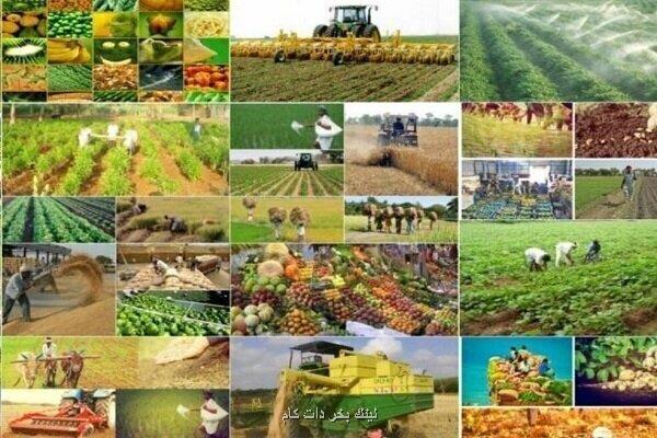 ایران در آستانه تحول در امنیت غذایی با تکنولوژی های جدید