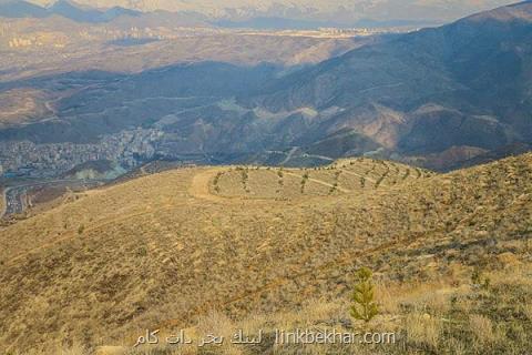 موفقیت ۹۵ درصدی پروژه درختكاری ایرانسل